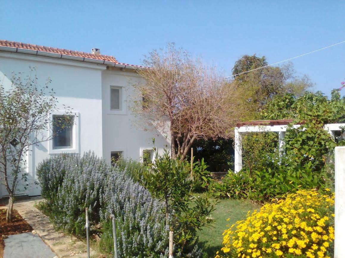 Apartments Lovor Silba Exterior foto