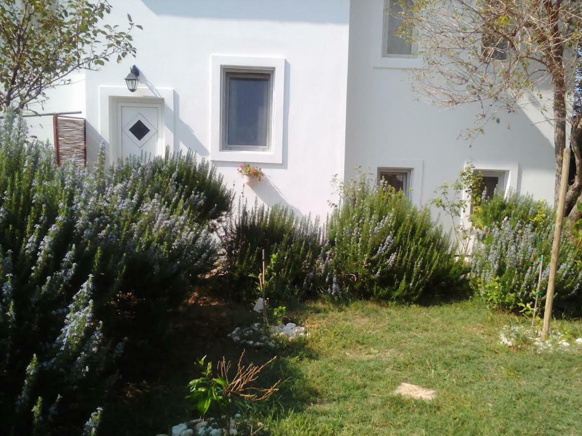 Apartments Lovor Silba Exterior foto