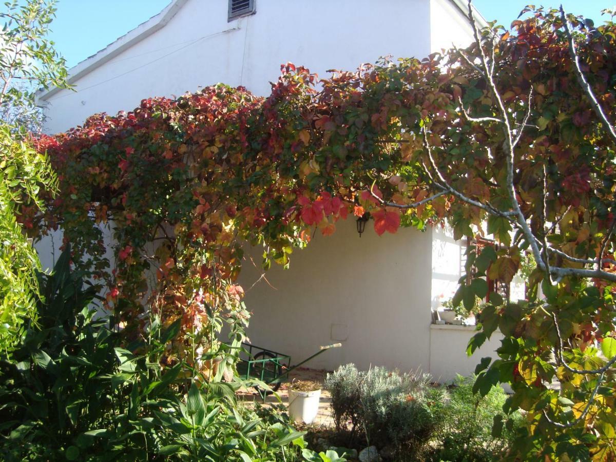 Apartments Lovor Silba Exterior foto
