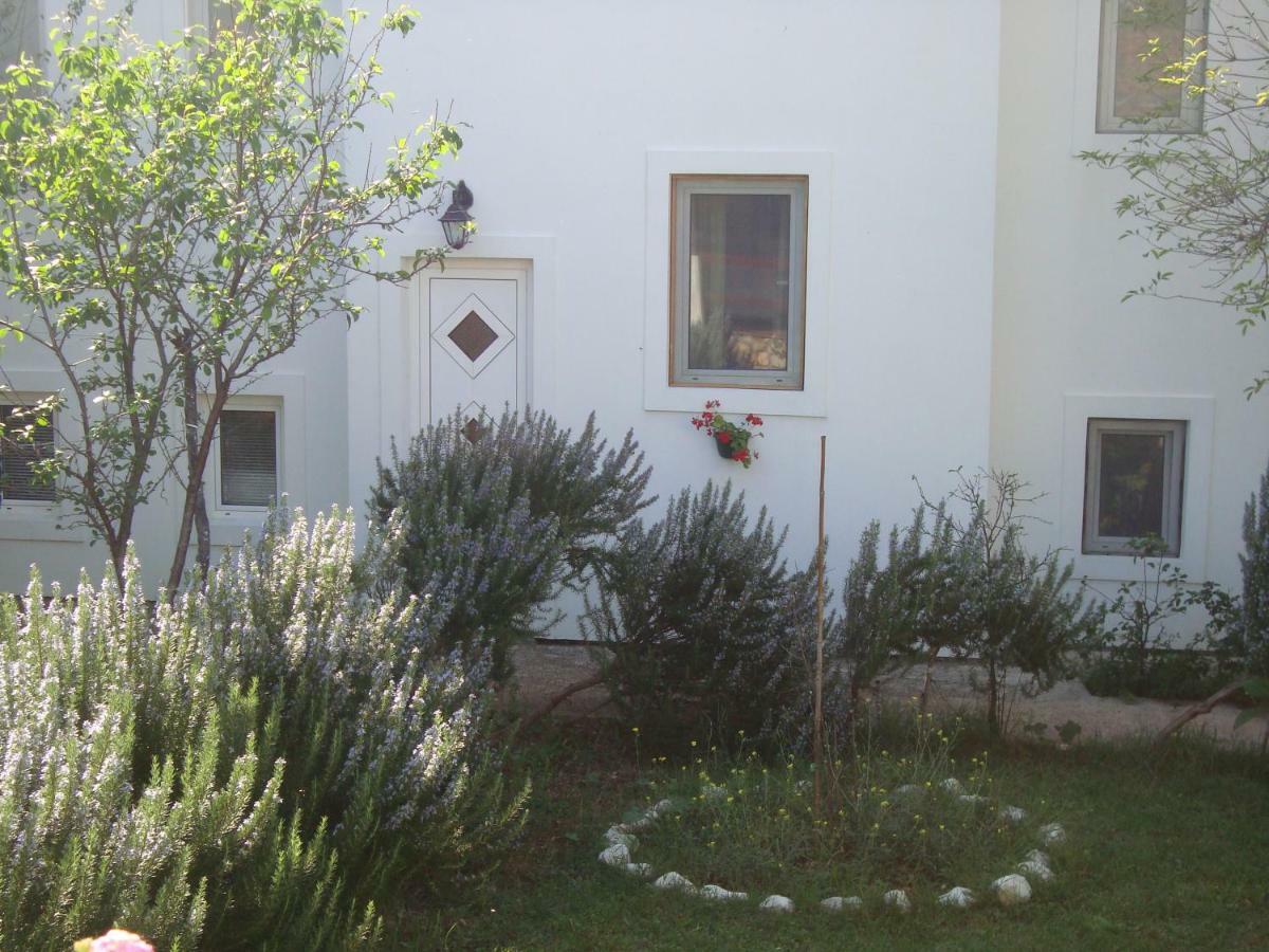 Apartments Lovor Silba Exterior foto