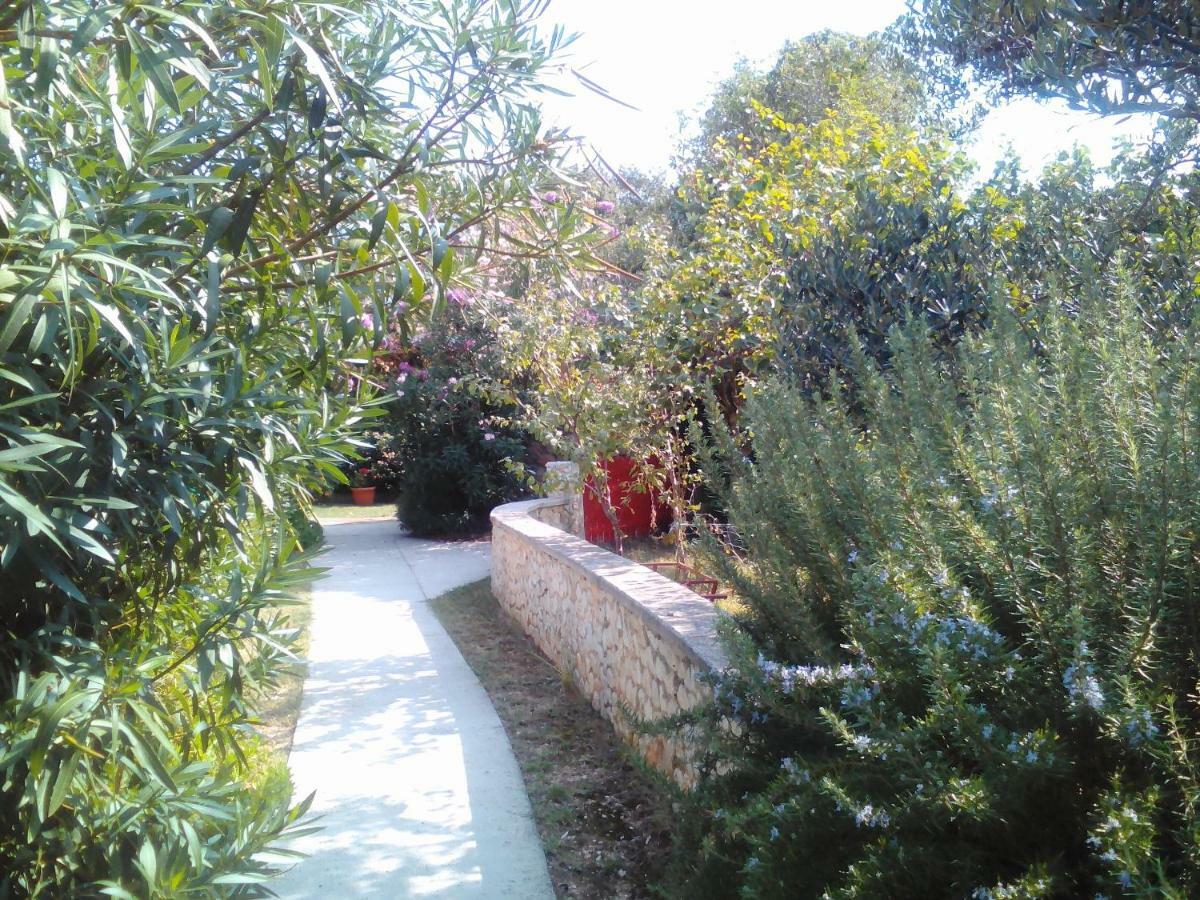 Apartments Lovor Silba Exterior foto